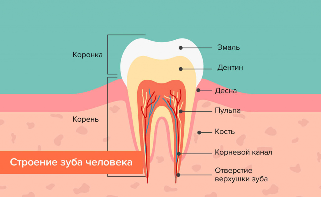 e4b0b3ef-38ad-43e9-b0a2-1ba77cc309c6.jpg